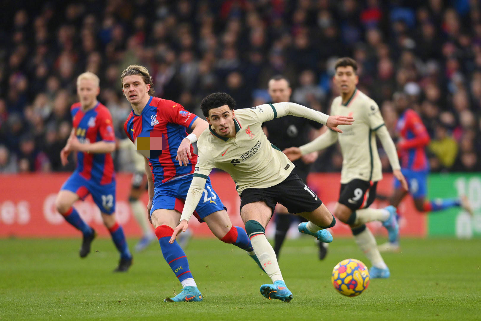 精彩纷呈的 精彩纷呈的